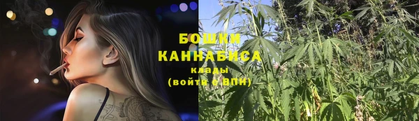 a pvp Коряжма